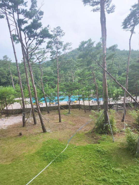 Sokcho Daemyung Heidi Pension Bagian luar foto